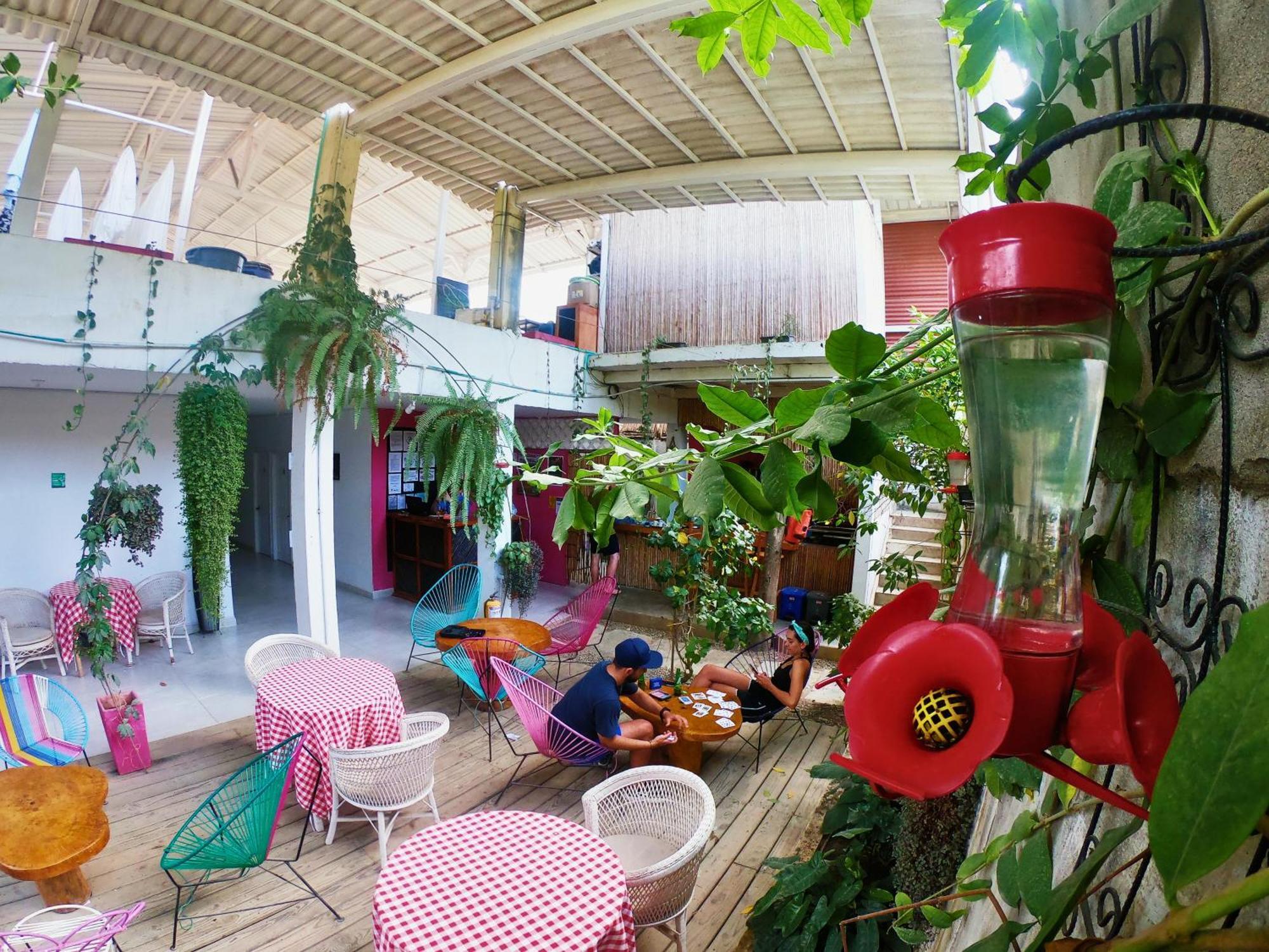 Hotel Casa Colibri Palomino Exteriér fotografie