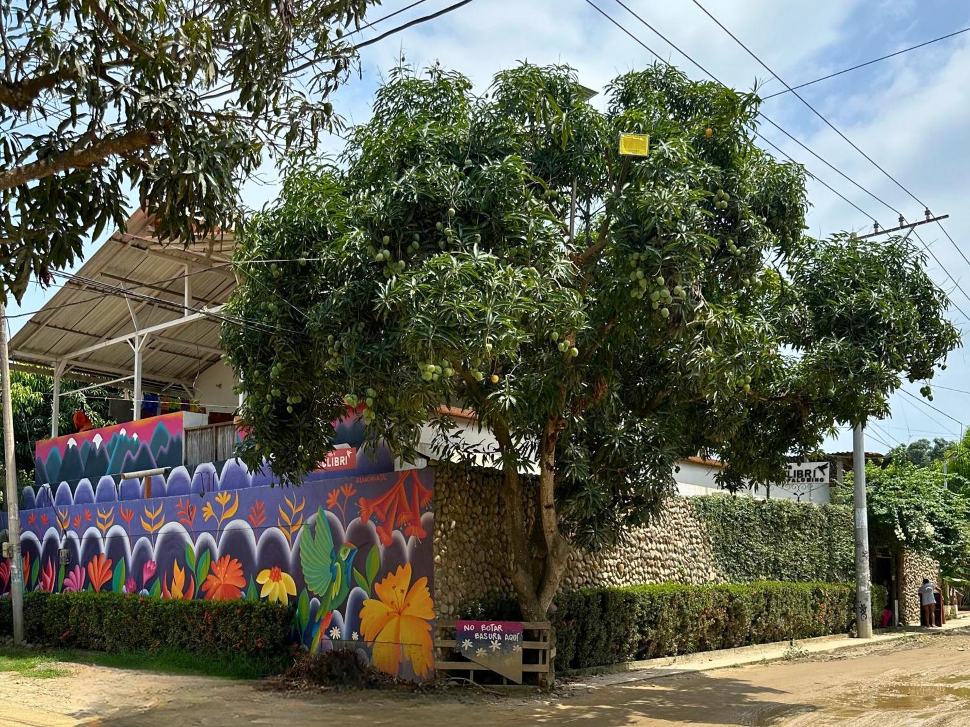 Hotel Casa Colibri Palomino Exteriér fotografie